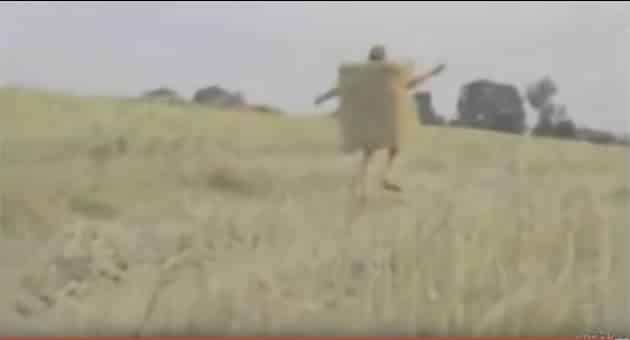 Farmer turns himself into SpongeBob SquarePants