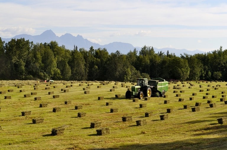 Famous Hay Festival switches to Suffolk