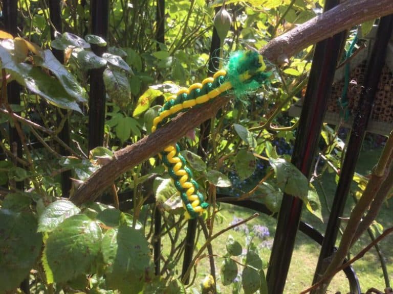 Invasion of Norfolk garden pests