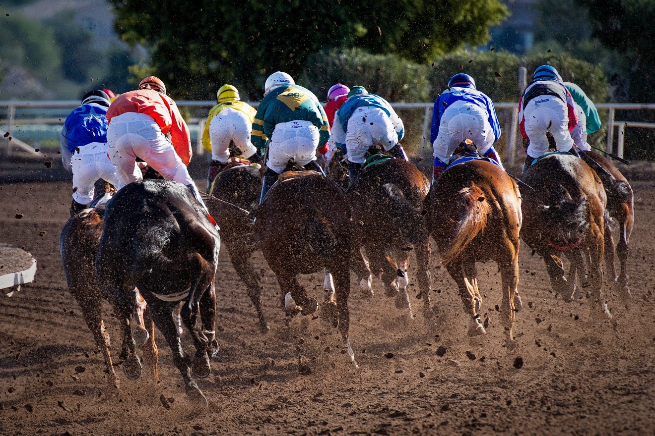 Top horse race betting tips to get you started