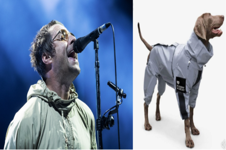 Liam Gallagher offers £20,000 reward for return of missing dog