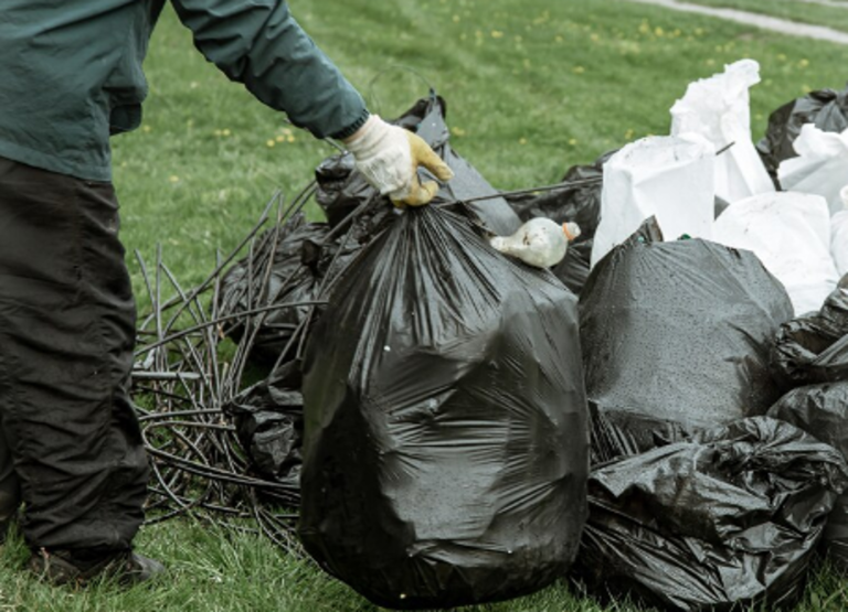 How to Choose the Right Rubbish Removal Service for Your Needs