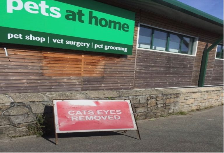 RSPCA turns a blind eye to high street ‘cat eye removals’ at Pets at Home