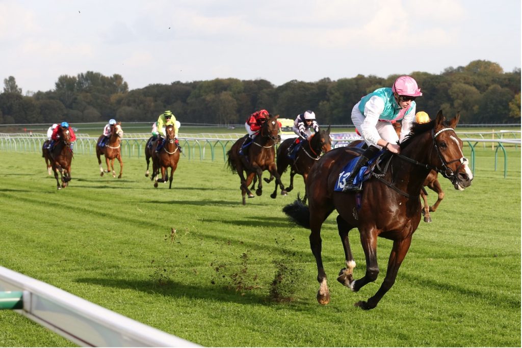 The best races of the 2024 Irish flat racing seasons